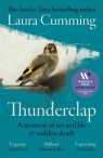 Thunderclap. A memoir of art and life & sudden death wer. angielska Laura Cumming