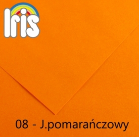 Karton kolorowy Canson (200040157) - Fila Polska