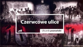 Czerwcowe ulice Ulicznik poznański / Druga strona Poznania - Cieliczko Paweł 