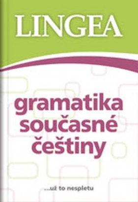 Gramatyka współczesnego języka czeskiego