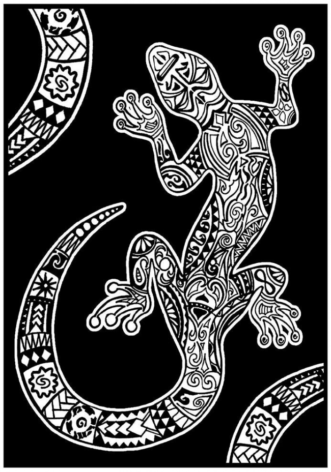 <img src='https://webimage.pl/pics/531/2/d8024238222531.jpg'>