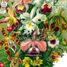  Puzzle 1000 Ernst Haeckel Orchidea / Orchid