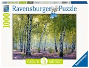 Puzzle 1000: Brzozowy las (167531)