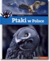 Ptaki w Polsce Piękne ciekawe wyjątkowe