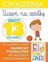 Uczeń na szóstkę. Zeszyt 13 dla klasy 1. Ćwiczenia do `Naszego Elementarza` Anna Wiśniewska