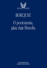 O pocieszeniu, jakie daje filozofia