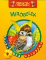 Wróbelek. Przeczytaj i pokoloruj. Bajka dla maluszka Opracowanie zbiorowe