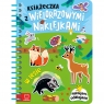 Książeczka z wielorazowymi naklejkami. W lesie.  Naklejam, odklejam! Agnieszka Bator