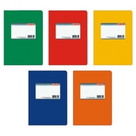 Brulion Herlitz PP A5 krata 150 (263533)