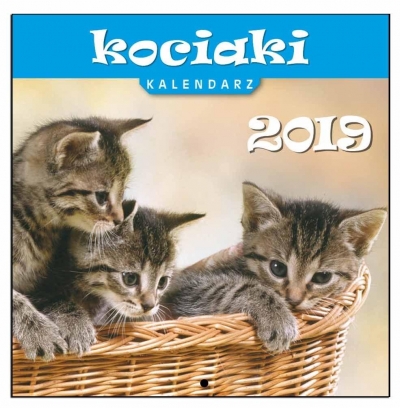 Kalendarz 2019 13 Planszowy Kociaki EV-CORP