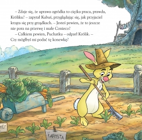 Sekretny ogród Kubusia. Książka z okienkami. Disney Kubuś i Przyjaciele - Catherine Hapka