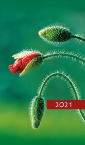 Kalendarz 2021 Tygodniowy Kolorowy mak