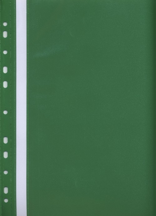 Skoroszyt z perforacją A4 Evo zielony