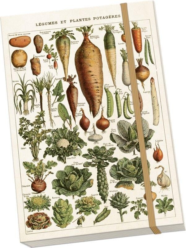 <img src='https://webimage.pl/pics/533/9/d7340117749533.jpg'>