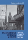 Przedsiębiorcy ukraińscy w Polsce Struktura i sprawstwo w procesie Andrejuk Katarzyna