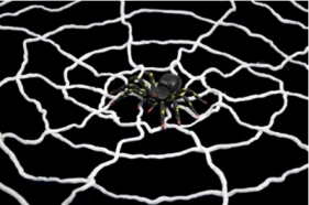 Pajęcza sieć XL z pająkiem