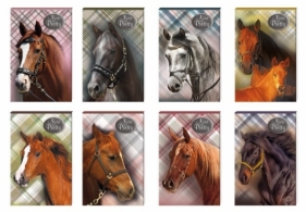 Notes A7/30k Nice & Pretty (607753)