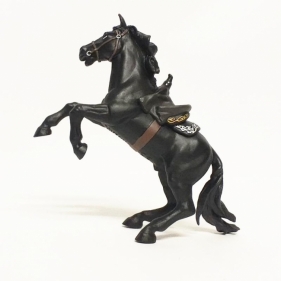 Koń Zorro