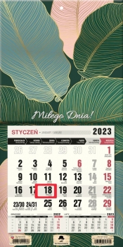 Kalendarz 2023 ścienny jednodzielny z magnesem Glamour