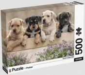 Puzzle 500 Adults Szczeniaki
