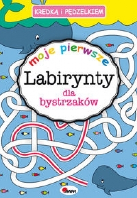 Kredką i pedzelkiem. Labirynty dla bystrzaków - Piotr Kozera