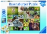 Ravensburger, Puzzle XXL 200: Zwierzątka (13353)