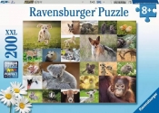 Ravensburger, Puzzle XXL 200: Zwierzątka (13353)