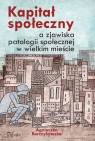 Kapitał społeczny a zjawiska patologii społecznej w wielkim mieście Barczykowska Agnieszka