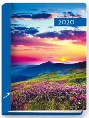 Terminarz 2020 B7 Kolorowy łąka