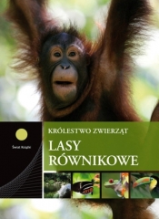 Lasy równikowe
