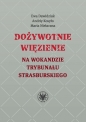 Dożywotnie więzienie na wokandzie trybunału strasburskiego - Ewa Dawidziuk, Maria Niełaczna, Andriy Kosyło