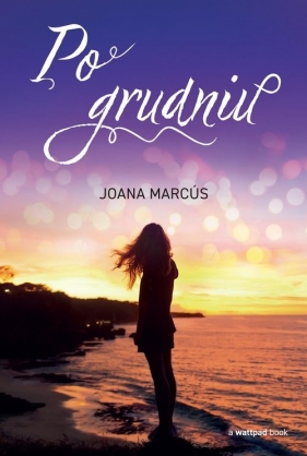 Po grudniu - Joanna Marcús