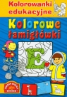 Kolorowanki edukacyjne Kolorowe łamigłówki