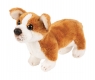  Pies Corgi