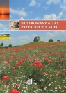 Ilustrowany atlas przyrody polskiej Krzyściak-Kosińska Renata, Kosiński Marek, Przybyłowicz Anna