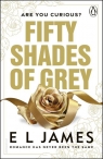 Fifty Shades of Grey E. L. James