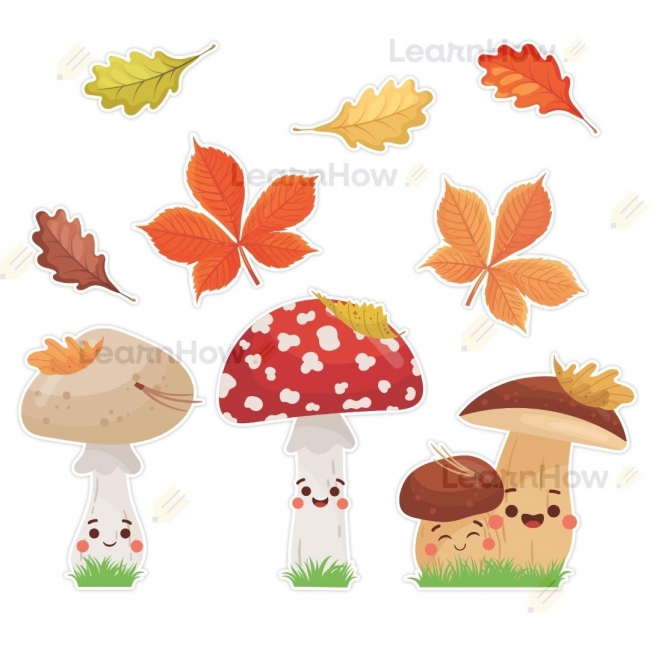 <img src='https://webimage.pl/pics/539/7/d5905080747539.jpg'>