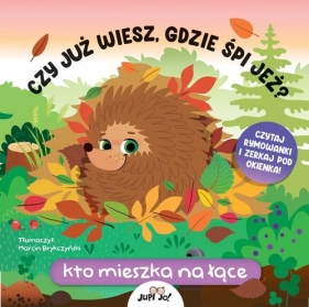 Czy już wiesz gdzie śpi jeż? Kto mieszka na łące - Fiona Huisman