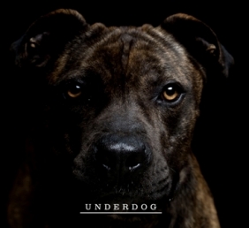 Underdog