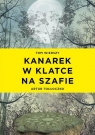 Kanarek w klatce na szafie