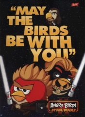 Teczka z gumką A4 Angry Birds Star Wars