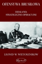Ofensywa Brusiłowa - Leonid W. Wietosznikow