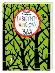 Labirynty i łamigłówki nie z tej ziemi - Thomas Flintham