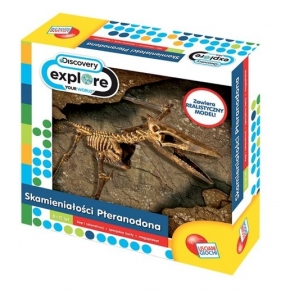 Skamieniałości pteranodona (38541)