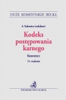 Kodeks postępowania karnego. Komentarz