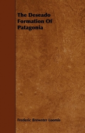 The Deseado Formation Of Patagonia