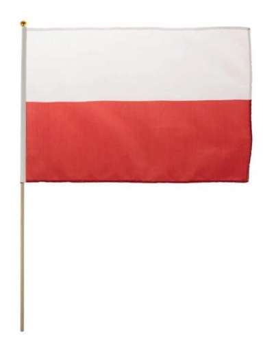 Flaga narodowa mała