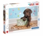 Clementoni, puzzle SuperColor 180: Lovely Puppy (29754)