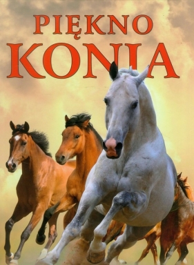 Piękno konia - Swinney Nicola Jane