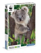 Puzzle WWF Baby Koala 250